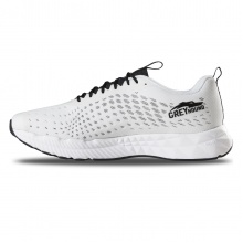 Salming Running Shoes Greyhound (Cushioning) White Men